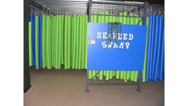 Seaweed Swamp